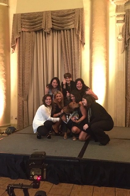 Bruno Gala | Ale Ramos Therapy Animals
