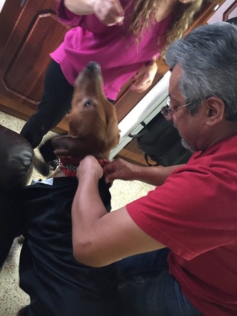 Bruno Gala | Ale Ramos Therapy Animals