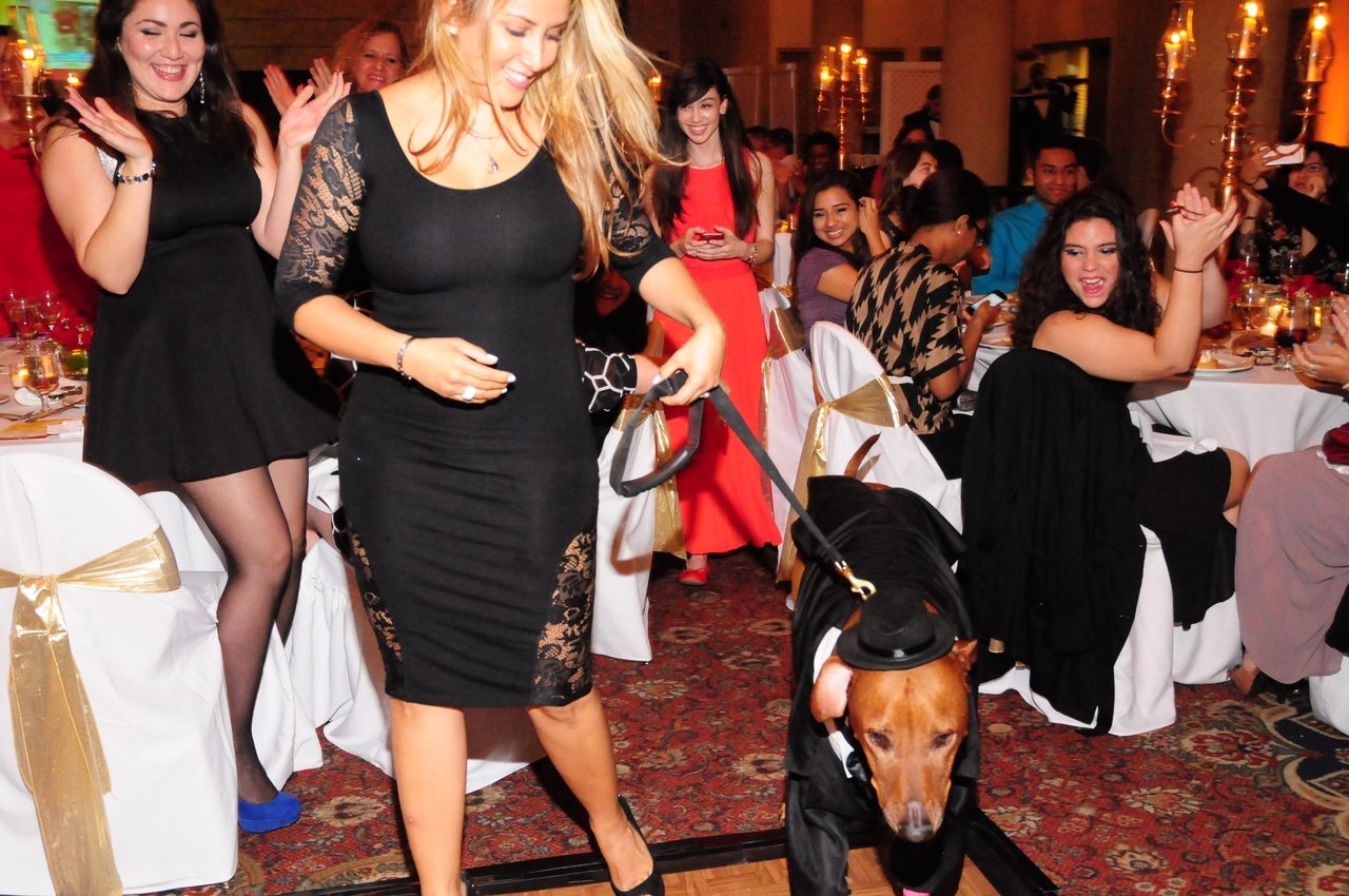 Bruno Gala | Ale Ramos Therapy Animals