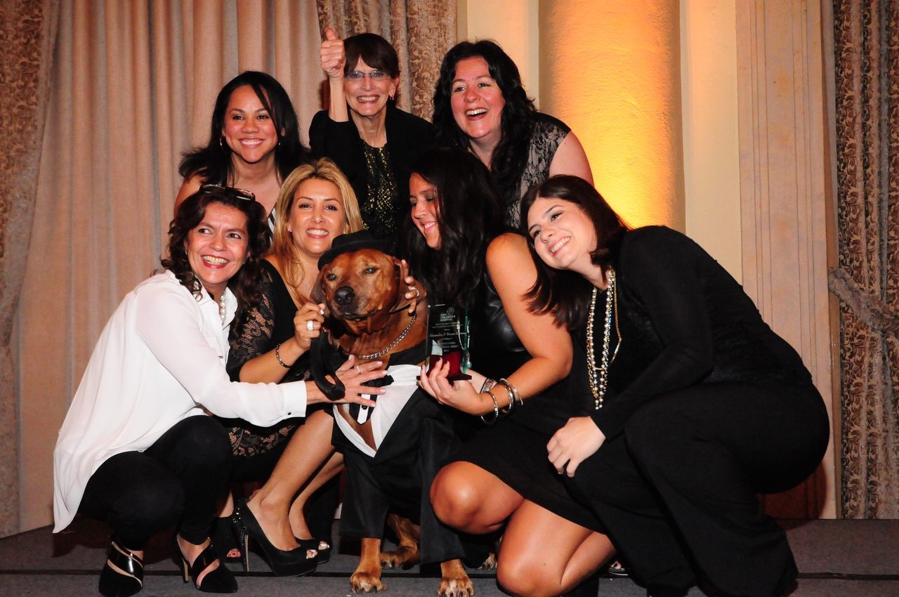 Bruno Gala | Ale Ramos Therapy Animals