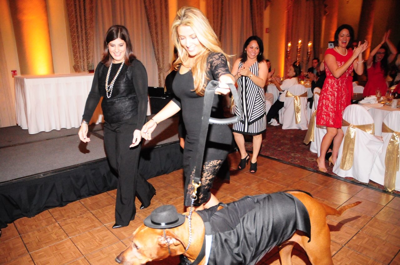 Bruno Gala | Ale Ramos Therapy Animals