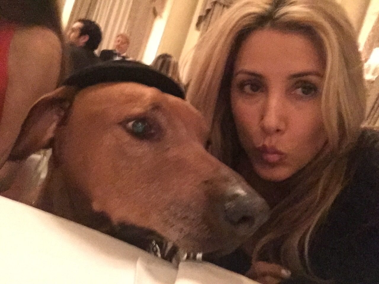 Bruno Gala | Ale Ramos Therapy Animals