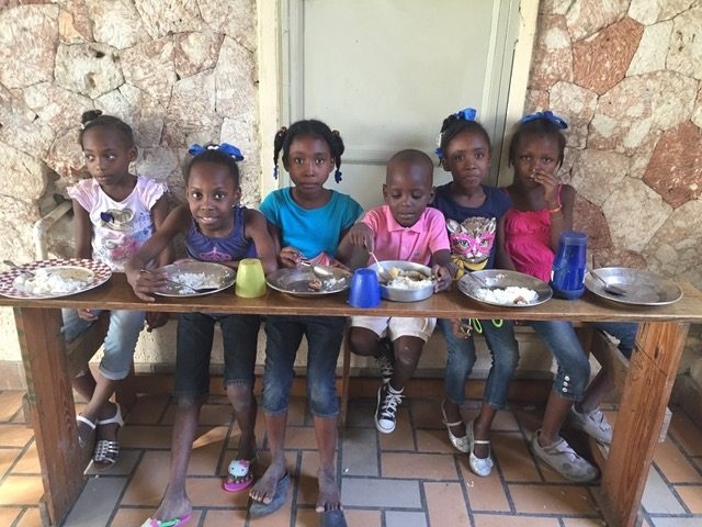 Haiti visit | Ale Ramos Therapy Animals