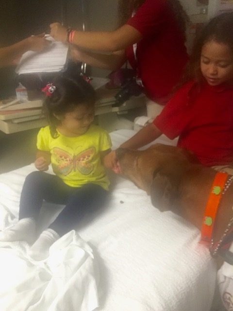 Halloween at Nicklaus Children’s Hospital by Radio Lollipop | Ale Ramos Therapy Animals