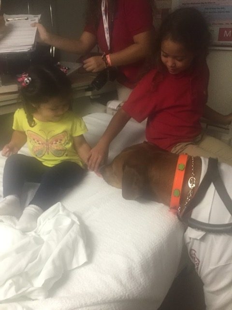 Halloween at Nicklaus Children’s Hospital by Radio Lollipop | Ale Ramos Therapy Animals
