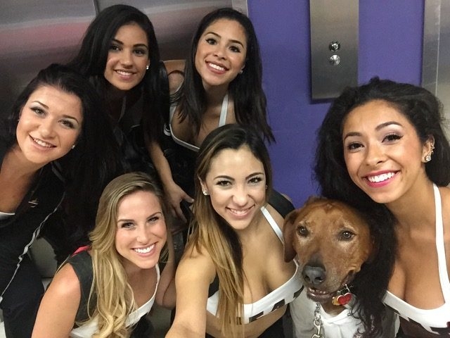 Radio Lollipop Birthday Party | Ale Ramos Therapy Animals