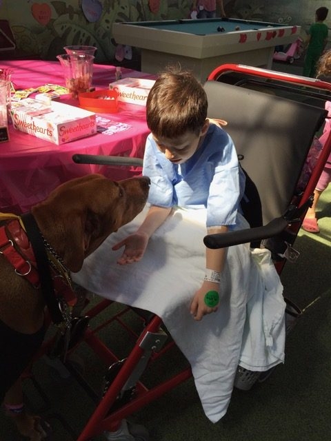 Valentine Day at Miami Children Hospital | Ale Ramos Therapy Animals