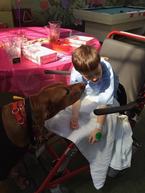 Valentine Day at Miami Children Hospital | Ale Ramos Therapy Animals
