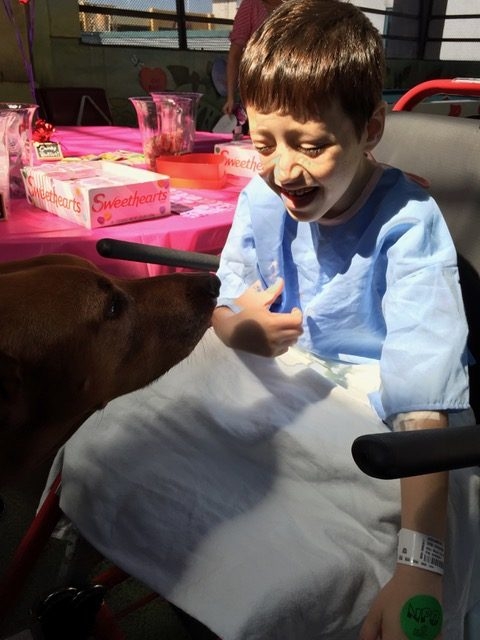 Valentine Day at Miami Children Hospital | Ale Ramos Therapy Animals