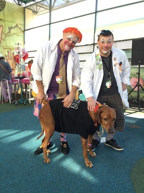 Valentine Day at Miami Children Hospital | Ale Ramos Therapy Animals