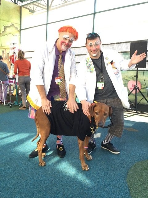 Valentine Day at Miami Children Hospital | Ale Ramos Therapy Animals