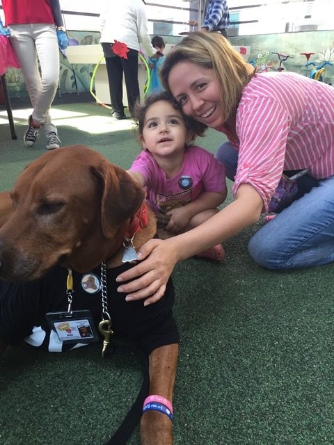 Valentine Day at Miami Children Hospital | Ale Ramos Therapy Animals