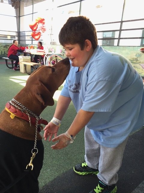 Valentine Day at Miami Children Hospital | Ale Ramos Therapy Animals