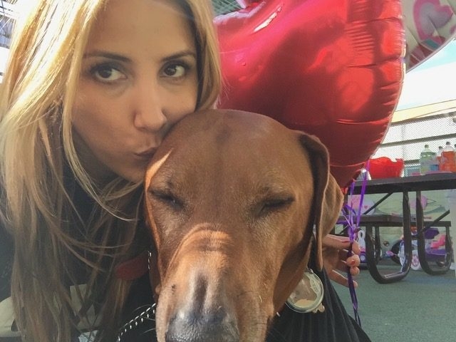 Valentine Day at Miami Children Hospital | Ale Ramos Therapy Animals