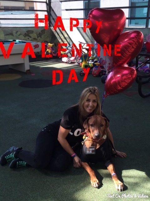 Valentine Day at Miami Children Hospital | Ale Ramos Therapy Animals