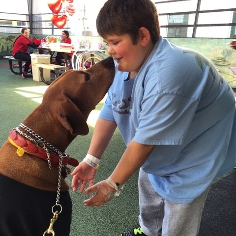 Valentine Day at Miami Children Hospital | Ale Ramos Therapy Animals