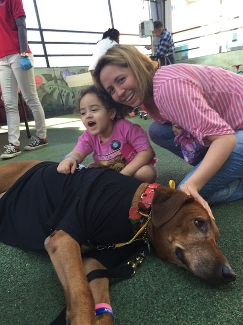 Valentine Day at Miami Children Hospital | Ale Ramos Therapy Animals