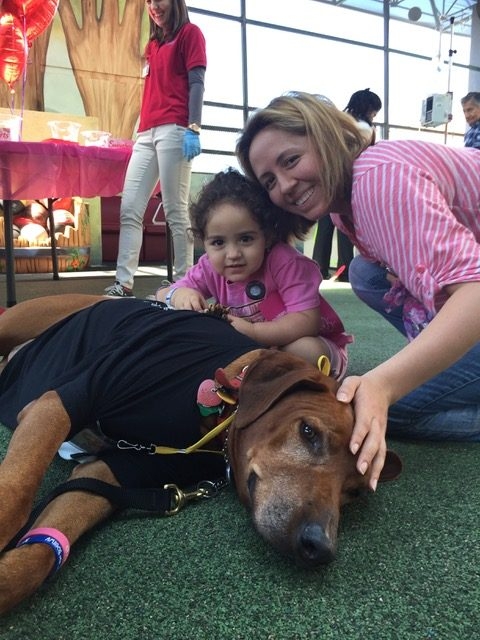 Valentine Day at Miami Children Hospital | Ale Ramos Therapy Animals