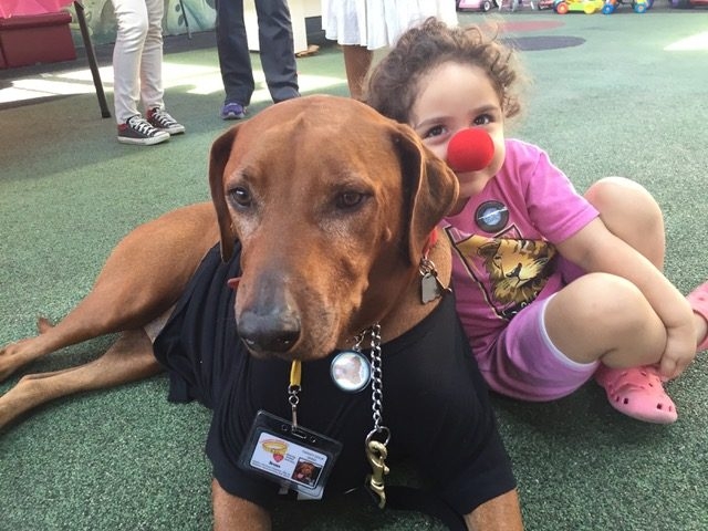 Valentine Day at Miami Children Hospital | Ale Ramos Therapy Animals