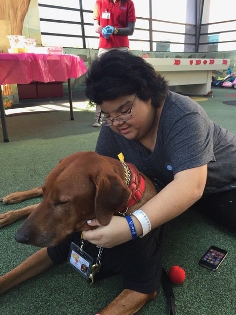 Valentine Day at Miami Children Hospital | Ale Ramos Therapy Animals
