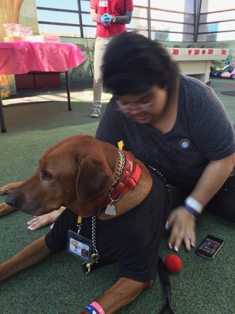 Valentine Day at Miami Children Hospital | Ale Ramos Therapy Animals