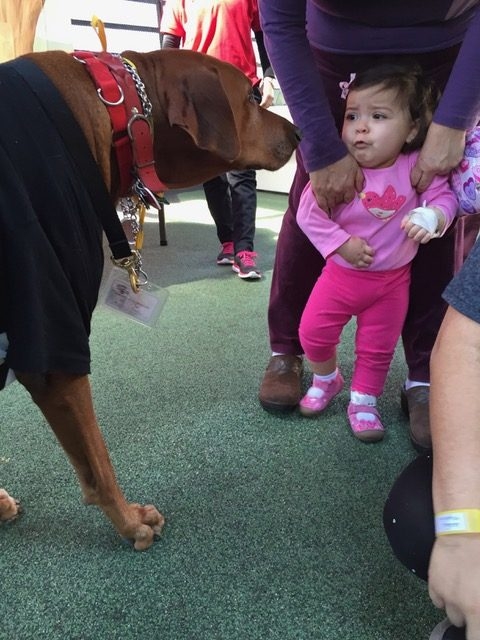 Valentine Day at Miami Children Hospital | Ale Ramos Therapy Animals