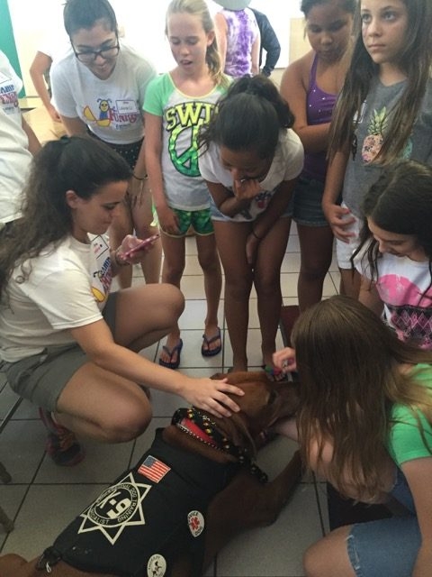 Visit Arthritis Camp | Ale Ramos Therapy Animals