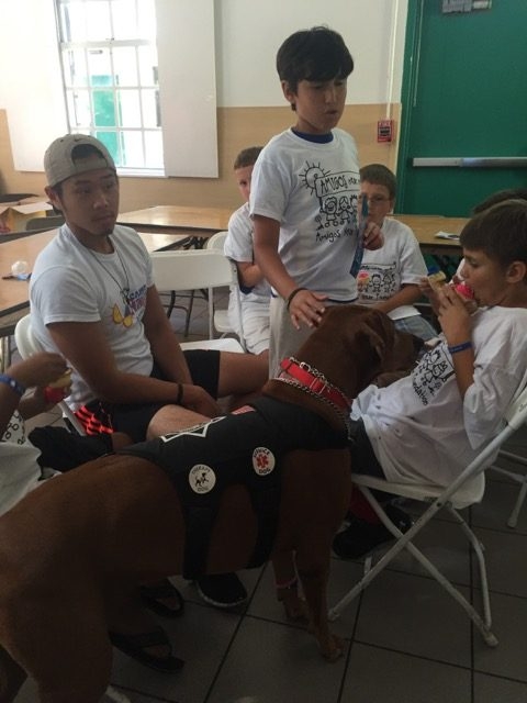 Visit Arthritis Camp | Ale Ramos Therapy Animals