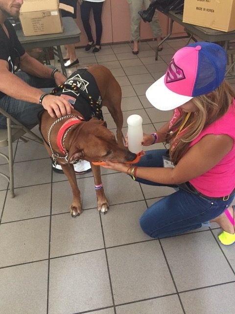Visit Arthritis Camp | Ale Ramos Therapy Animals