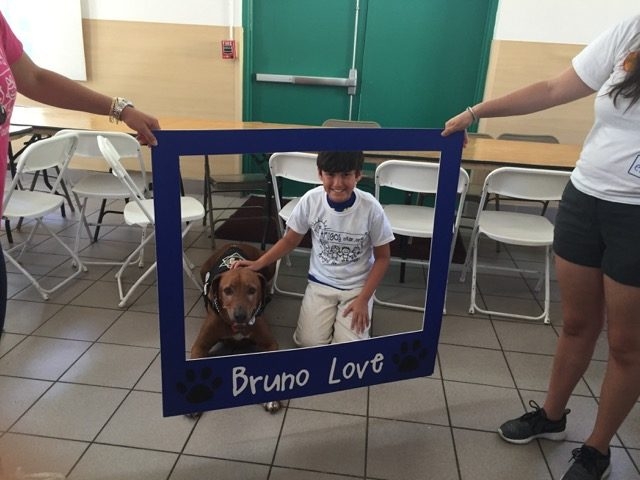 Visit Arthritis Camp | Ale Ramos Therapy Animals