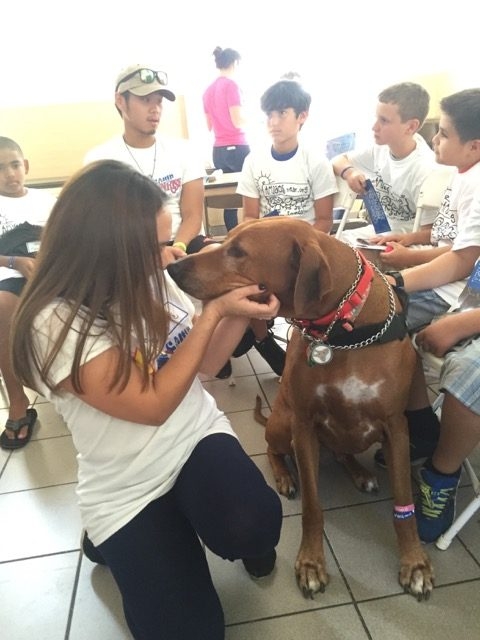 Visit Arthritis Camp | Ale Ramos Therapy Animals