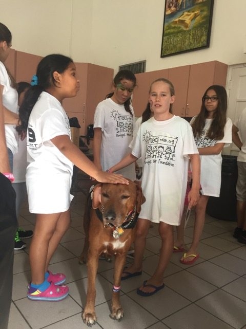 Visit Arthritis Camp | Ale Ramos Therapy Animals