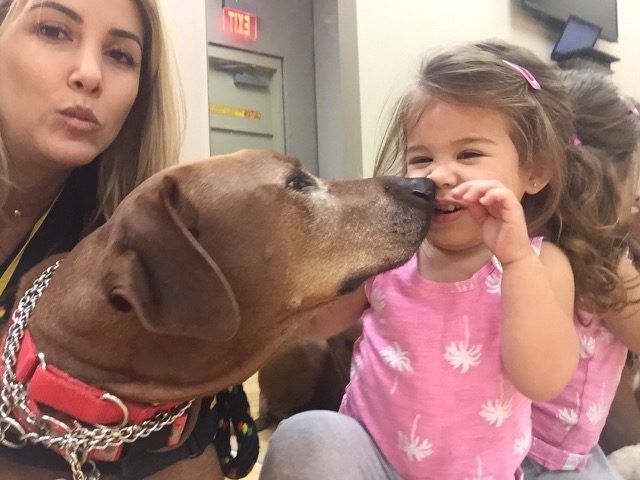 Visit at Summer Camp at Preforming Arts | Ale Ramos Therapy Animals