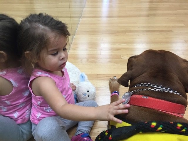 Visit at Summer Camp at Preforming Arts | Ale Ramos Therapy Animals