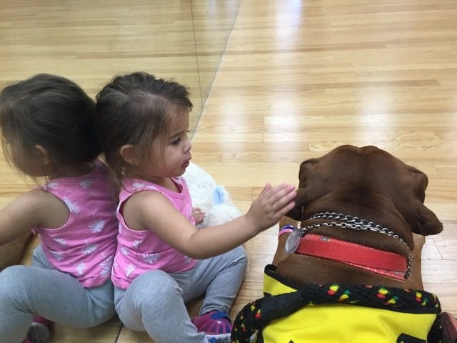 Visit at Summer Camp at Preforming Arts | Ale Ramos Therapy Animals