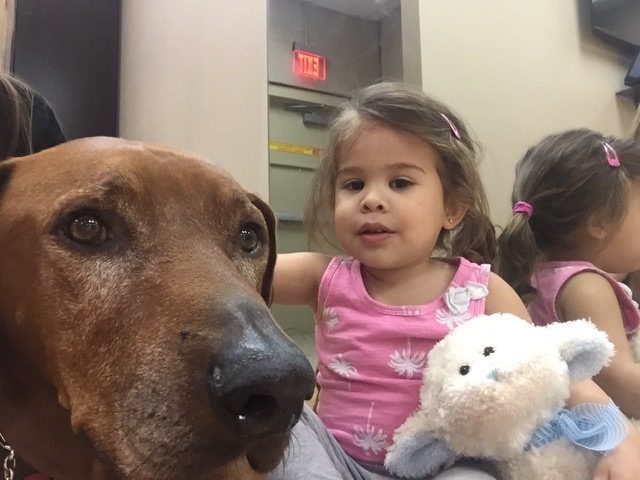 Visit at Summer Camp at Preforming Arts | Ale Ramos Therapy Animals