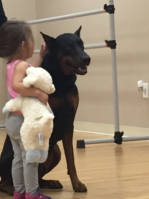 Visit at Summer Camp at Preforming Arts | Ale Ramos Therapy Animals
