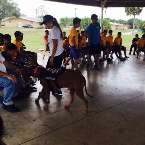 Visit His House | Ale Ramos Therapy Animals