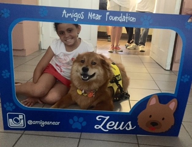 Arthritis Foundation Nicklaus Children Hospital | Ale Ramos Therapy Animals