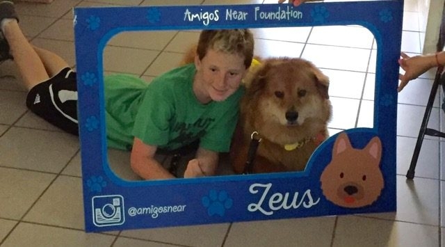 Arthritis Foundation Nicklaus Children Hospital | Ale Ramos Therapy Animals
