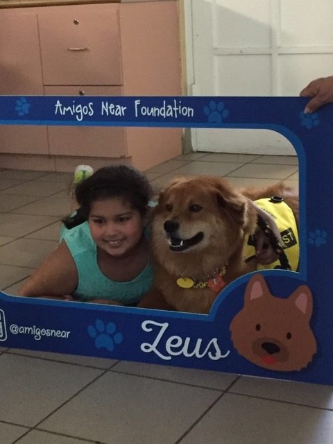 Arthritis Foundation Nicklaus Children Hospital | Ale Ramos Therapy Animals