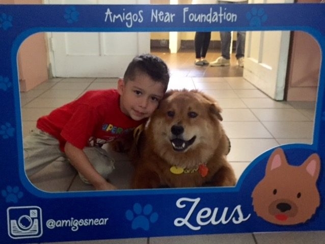 Arthritis Foundation Nicklaus Children Hospital | Ale Ramos Therapy Animals