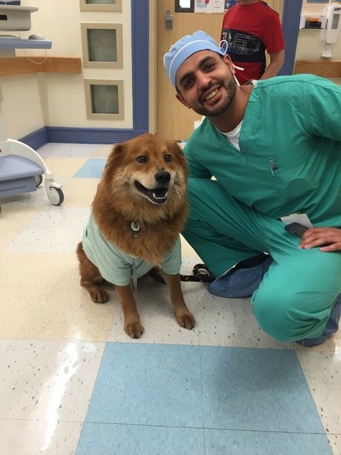 Bruno + Zeus Love | Ale Ramos Therapy Animals