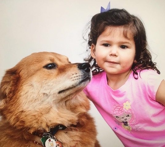 Bruno + Zeus Love | Ale Ramos Therapy Animals