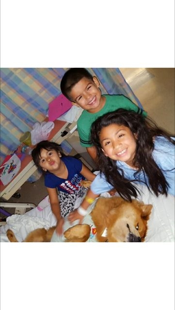 Bruno + Zeus Love | Ale Ramos Therapy Animals