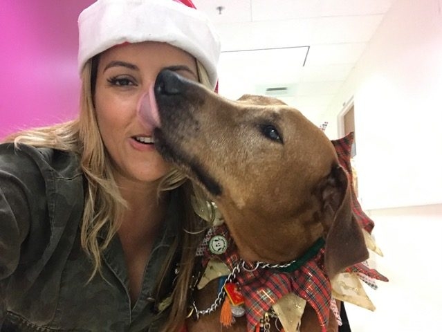 Bruno + Zeus Love | Ale Ramos Therapy Animals
