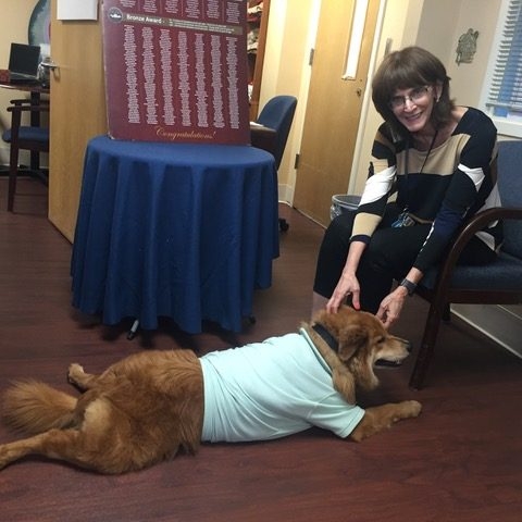 Bruno + Zeus Love | Ale Ramos Therapy Animals