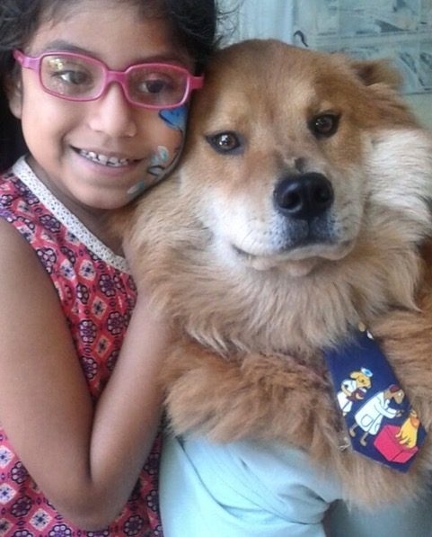 Bruno + Zeus Love | Ale Ramos Therapy Animals