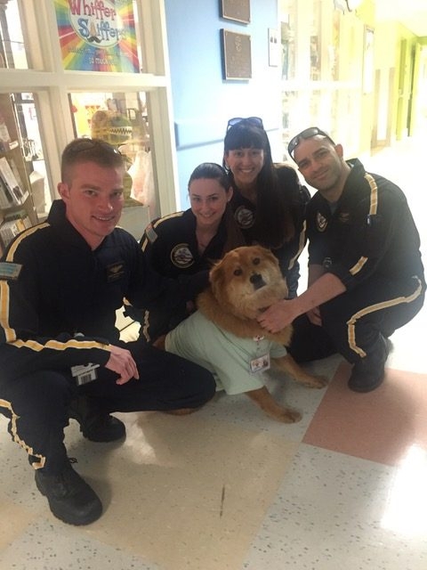 Bruno + Zeus Love | Ale Ramos Therapy Animals