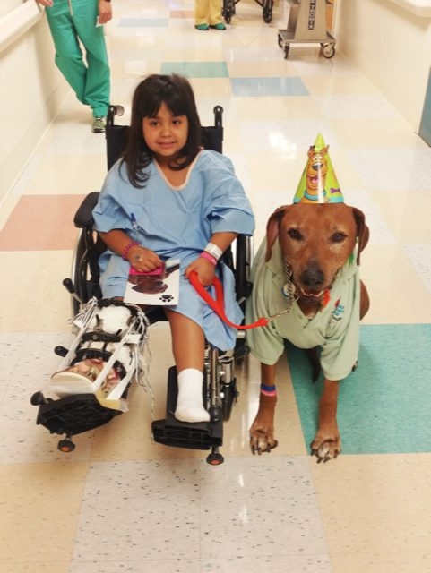 Bruno + Zeus Love | Ale Ramos Therapy Animals